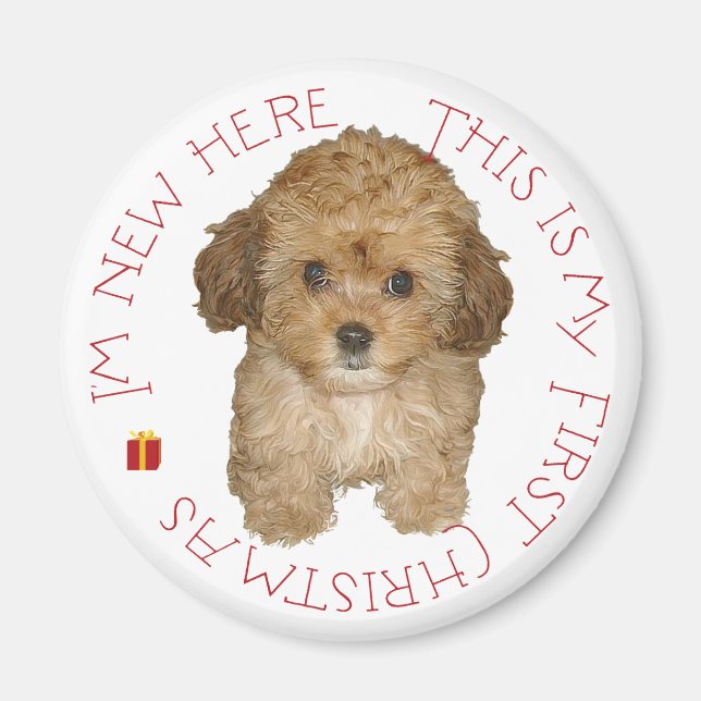 Cavachon Puppy First Christmas Magnet (Front)