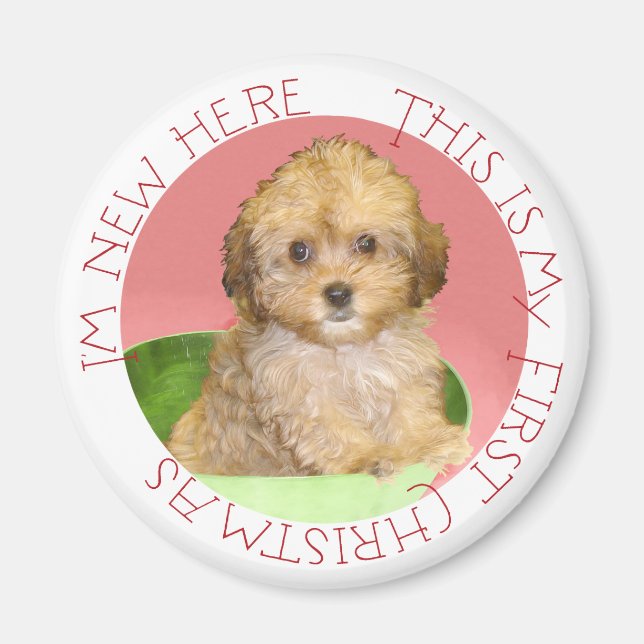 Cavachon Puppy First Christmas Magnet (Front)