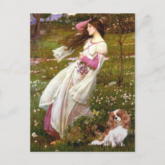 Cavalier 2 (Bl) - Windflowers Postcard