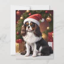 cavalier christmas