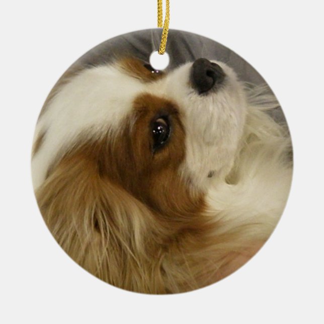 Cavalier Cocker Spaniel Ornament (Front)
