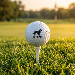 Cavalier Golf Dad Titleist Pro V1 Ball Gift