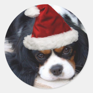 Cavalier King Charles Classic Round Sticker