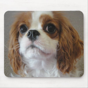Cavalier King Charles cute puppy dog mousepad