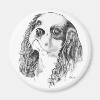 Cavalier King Charles Drawing Magnet