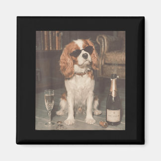 Cavalier King Charles Drinking Champagne Funny Magnet