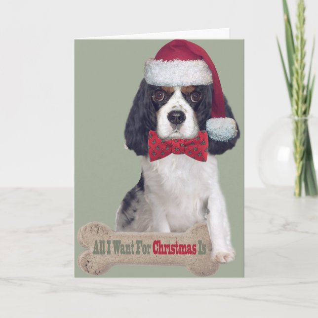 Cavalier King Charles Kisses For Christmas Holiday Card (Front)