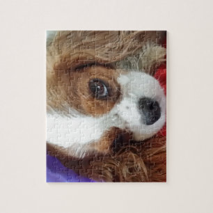 Cavalier King Charles Pretty Jigsaw Puzzle