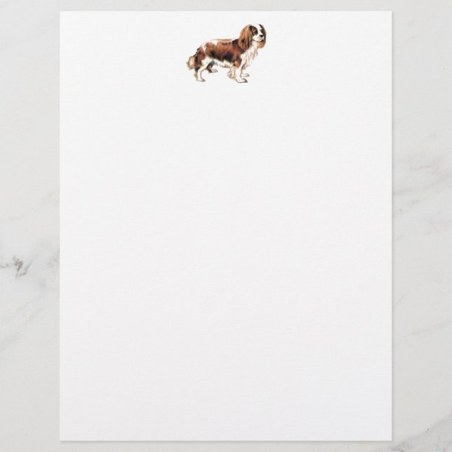 Cavalier King Charles Spaniel (Front)