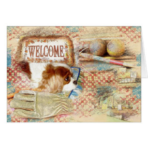 Cavalier King Charles Spaniel