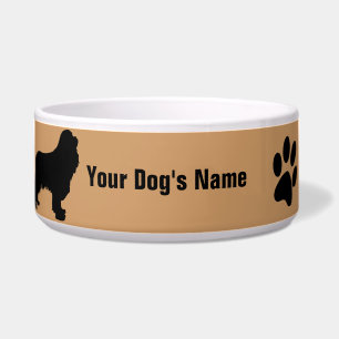 Cavalier King Charles Spaniel キャバリア