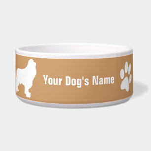 Cavalier King Charles Spaniel キャバリア