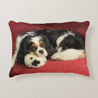 Cavalier King Charles Spaniel Accent Pillow