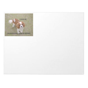 Cavalier-king-charles-spaniel blenheim love w pic. notepad