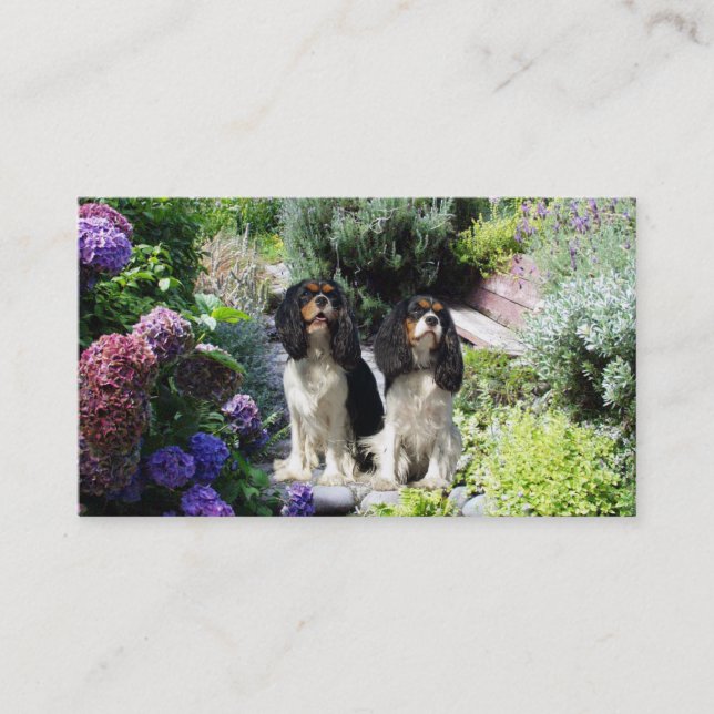 Cavalier King Charles Spaniel Breede Business Card (Front)