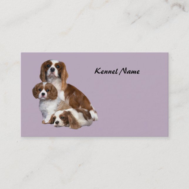 Cavalier King Charles Spaniel Breeder Business Car Business Card (Front)