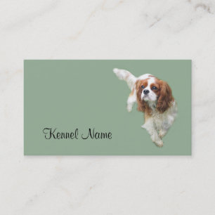 Cavalier King Charles Spaniel Breeder Business Car Business Card