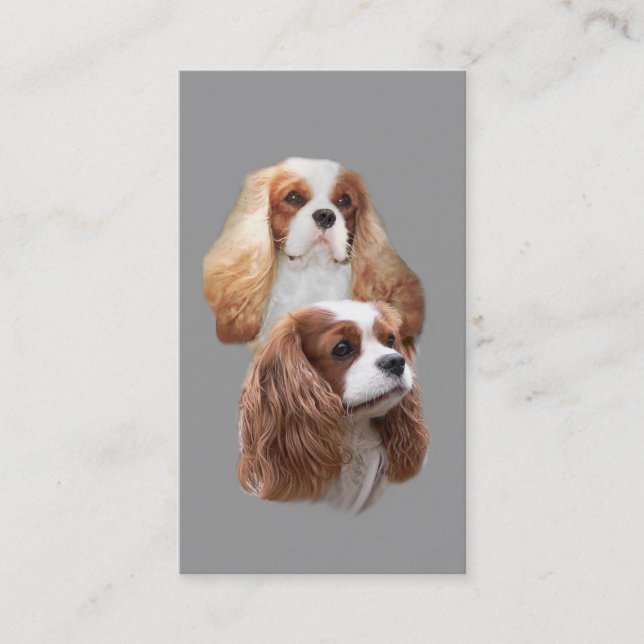 Cavalier King Charles Spaniel Breeder BusinessCard Business Card (Front)