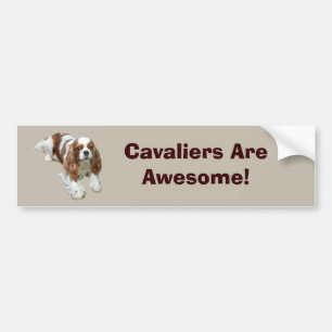 Cavalier King Charles Spaniel Bumper Sticker