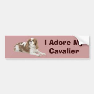 Cavalier King Charles Spaniel Bumper Sticker