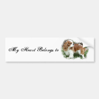 Cavalier King Charles Spaniel Bumper Sticker