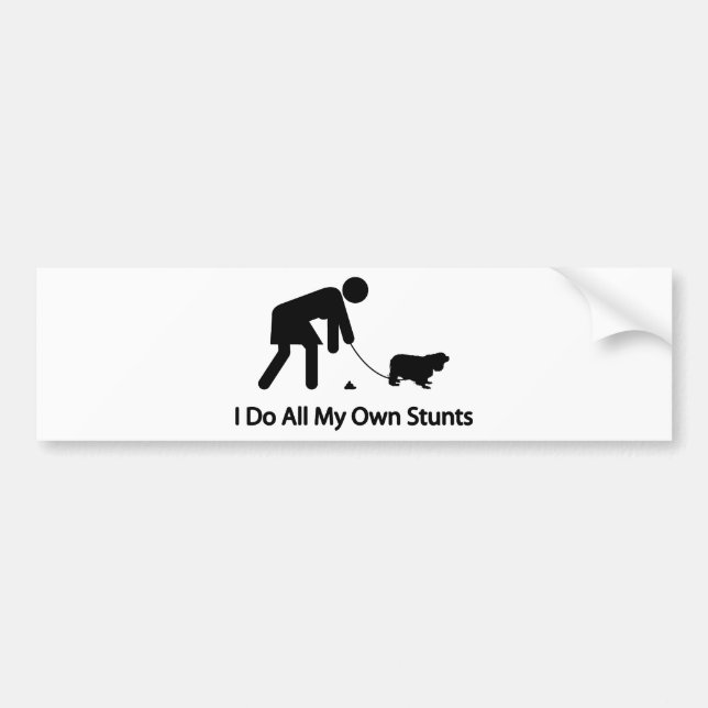 Cavalier King Charles Spaniel Bumper Sticker (Front)