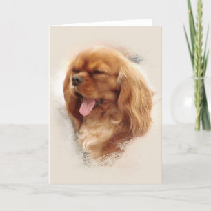 Cavalier King Charles Spaniel Card