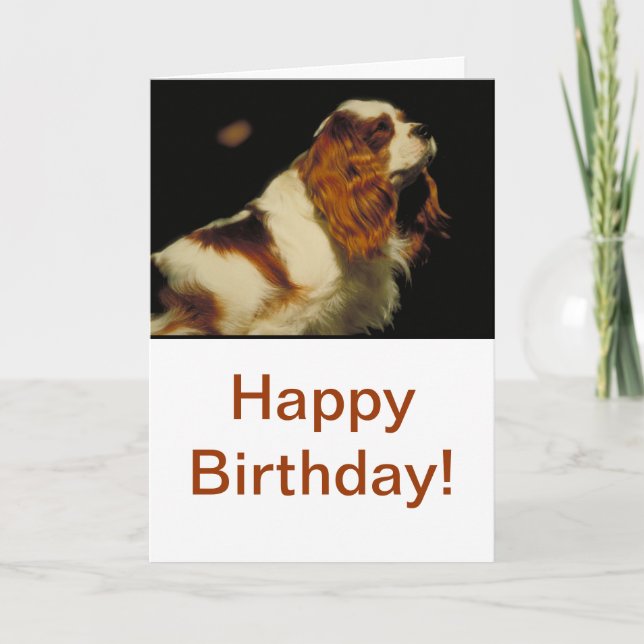 Cavalier King Charles Spaniel Card (Front)