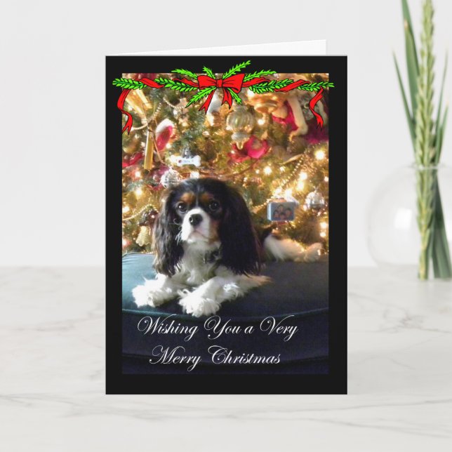 Cavalier King Charles Spaniel Christmas Card (Front)