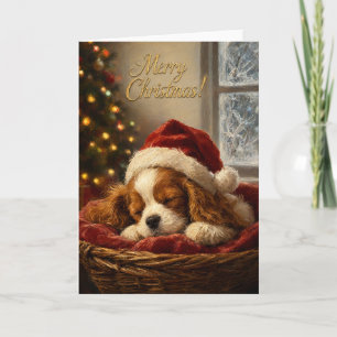 Cavalier King Charles Spaniel Christmas Card
