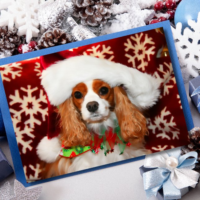 Cavalier King Charles Spaniel Christmas Love Holiday Card (Creator Uploaded)
