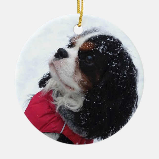 Cavalier King Charles Spaniel Christmas Ornament (Front)