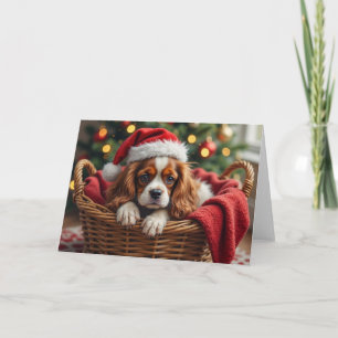 Cavalier King Charles Spaniel Cozy Basket Card