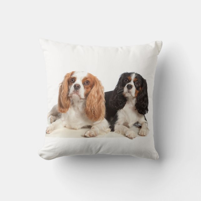 Cavalier King Charles Spaniel Cushion (Front)