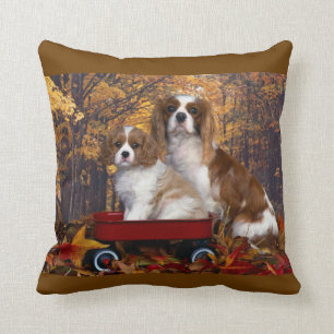 Cavalier King Charles Spaniel Cushion