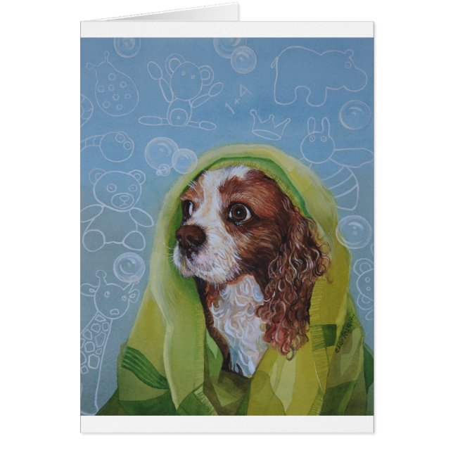 Cavalier King Charles Spaniel Dog (Front)