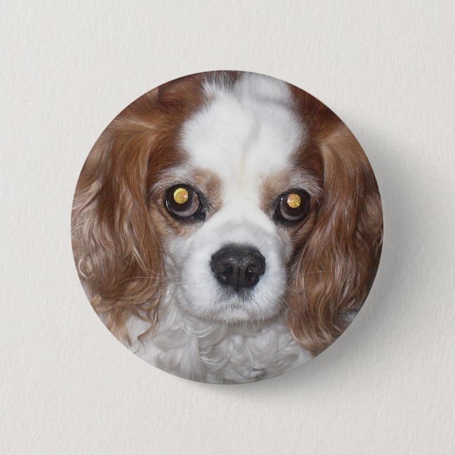 CAVALIER KING CHARLES SPANIEL DOG 6 CM ROUND BADGE (Front)