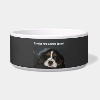 Cavalier King Charles Spaniel Dog Bowl