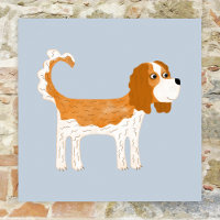 Cavalier King Charles Spaniel Dog