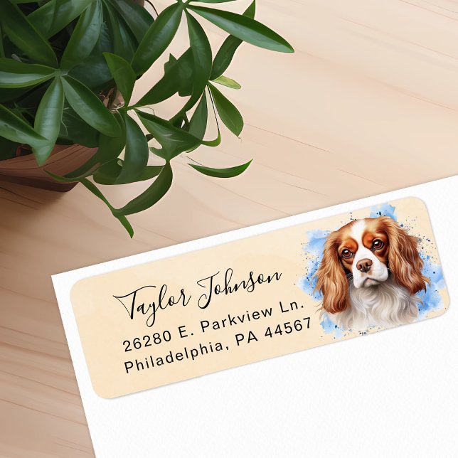 Cavalier King Charles Spaniel Dog Return Address (Creator Uploaded)