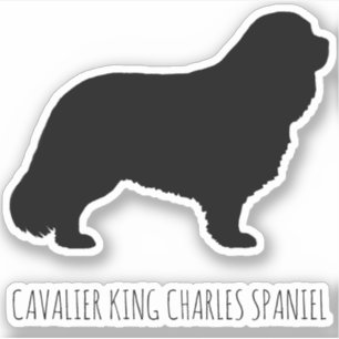 Cavalier King Charles Spaniel Dog Silhouette Vinyl