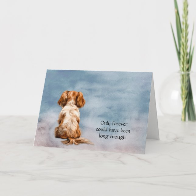 Cavalier King Charles Spaniel Dog Sympathy Card (Front)