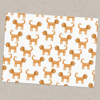 Cavalier King Charles Spaniel Dog