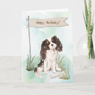 Cavalier King Charles Spaniel Dog Under Birthday Card