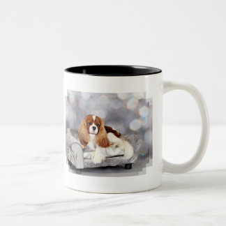 Cavalier King Charles Spaniel - Ethan Two-Tone Coffee Mug