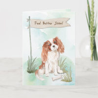 Cavalier King Charles Spaniel Feel Better to Dog