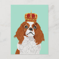 Cavalier King Charles Spaniel for Dog Lovers