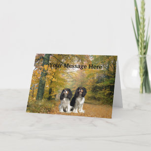 Cavalier King Charles Spaniel Greeting Card