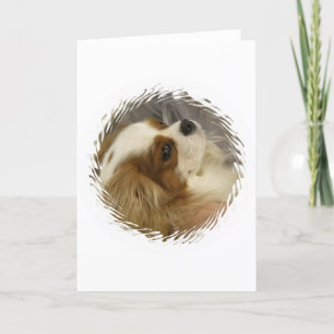 Cavalier King Charles Spaniel Greeting Card