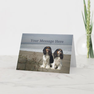 Cavalier King Charles Spaniel Greeting Card